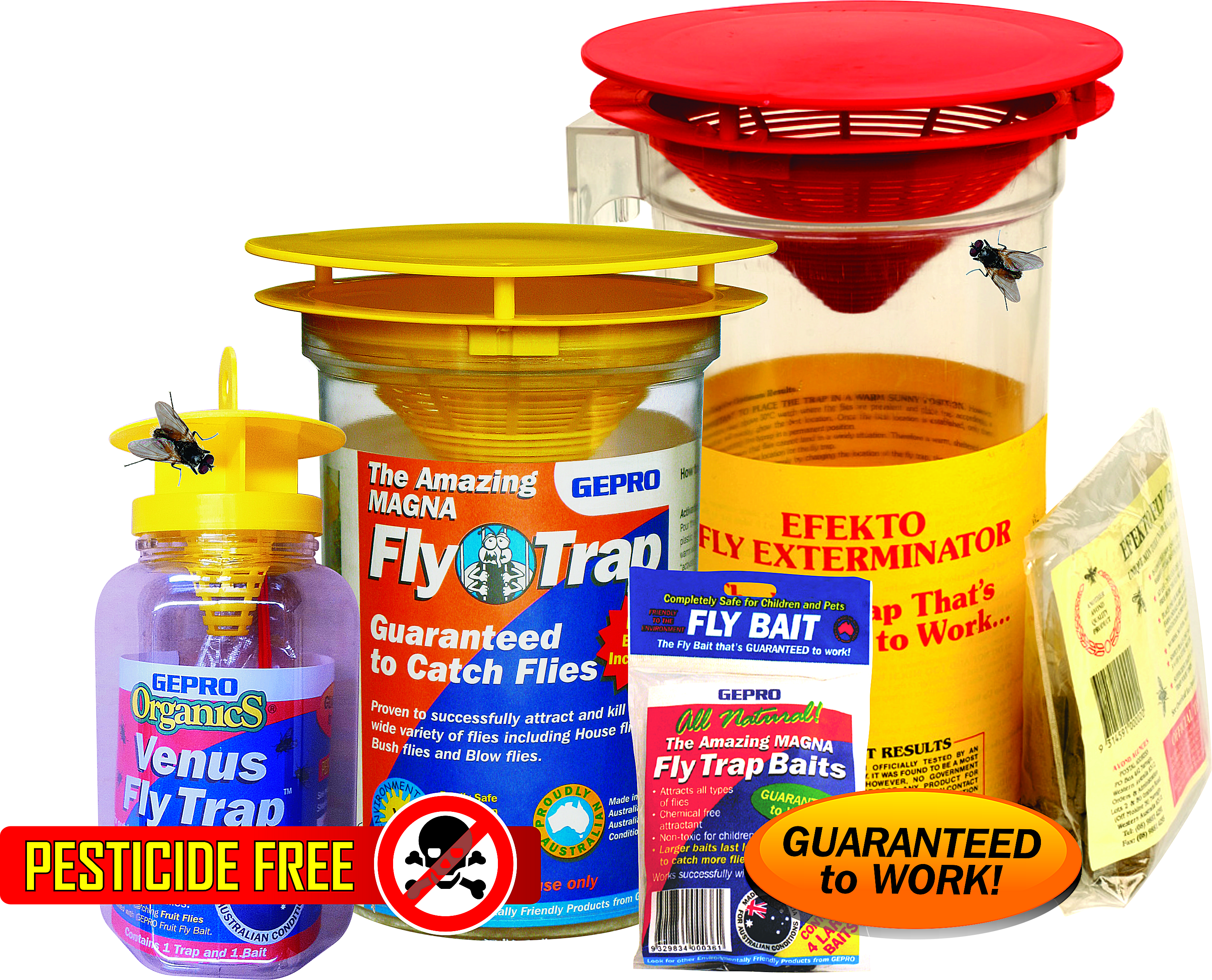 fly trap australia